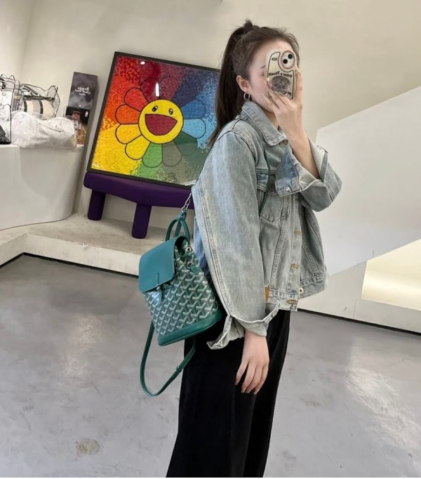 Goyard Alpin Backpack A Complete Review Prices, Size Comparison