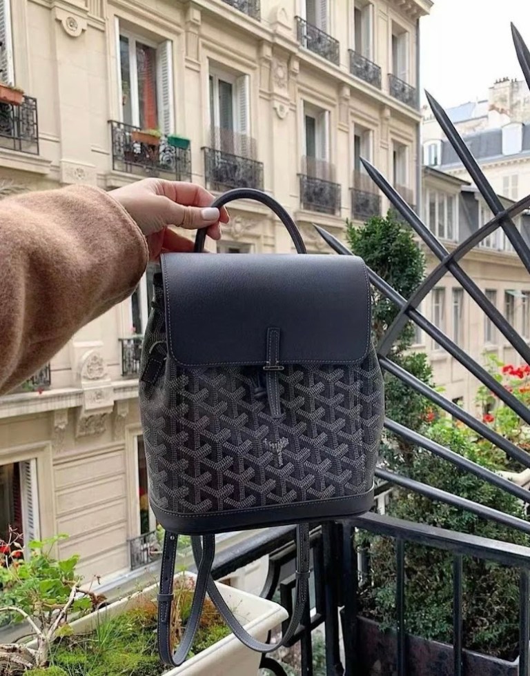 Goyard Alpin Backpack: A Complete Review: Prices, Size Comparison & More