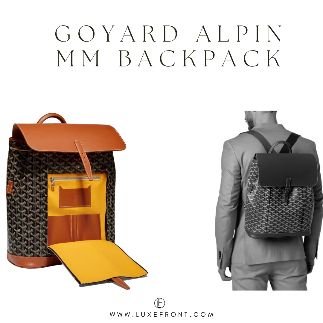 Goyard Cisalpin Backpack Black and Brown Goyardine Canvas Palladium  Hardware in 2023