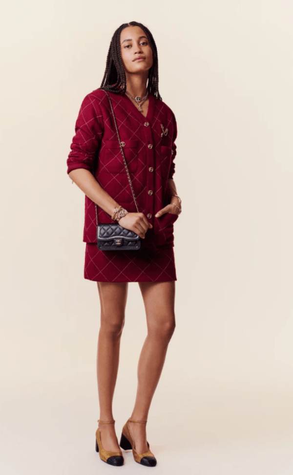 Chanel Pre Fall Winter 23B Collection - The Dreamiest Bags - Luxe Front