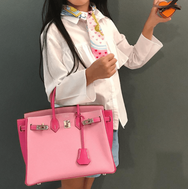 Best Hermes Pink Shades and 21 Amazing Pink Hermes Bags To Inspire You